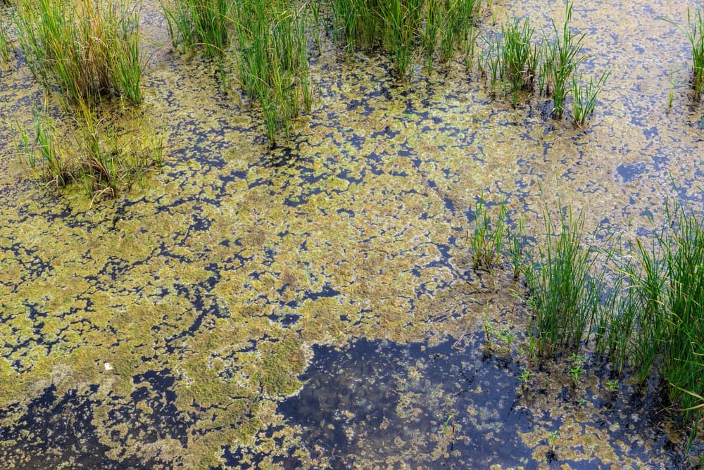 T3-Økt rensing av forurenset overvann
