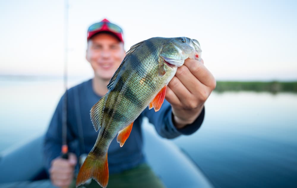 T17-Vurdere plan for Frierfjorden