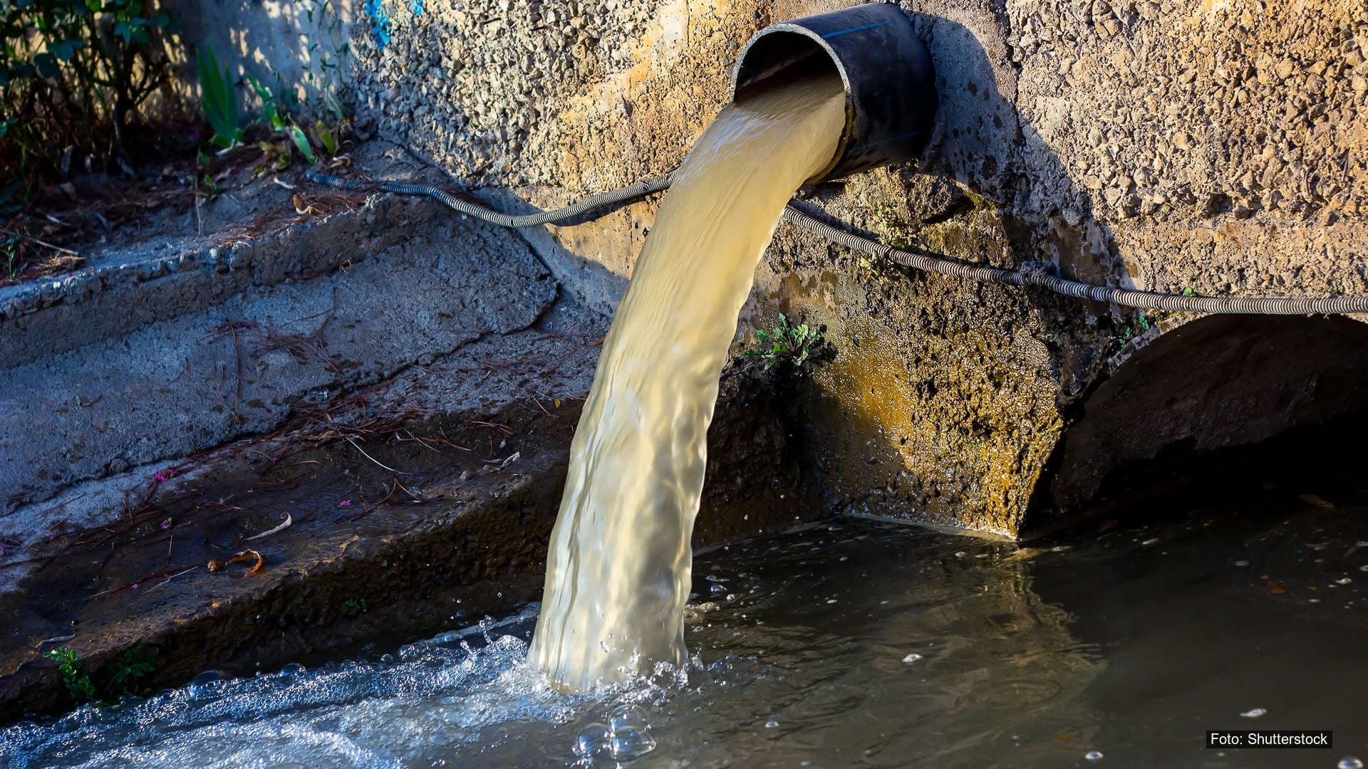 shutterstock_2225557671