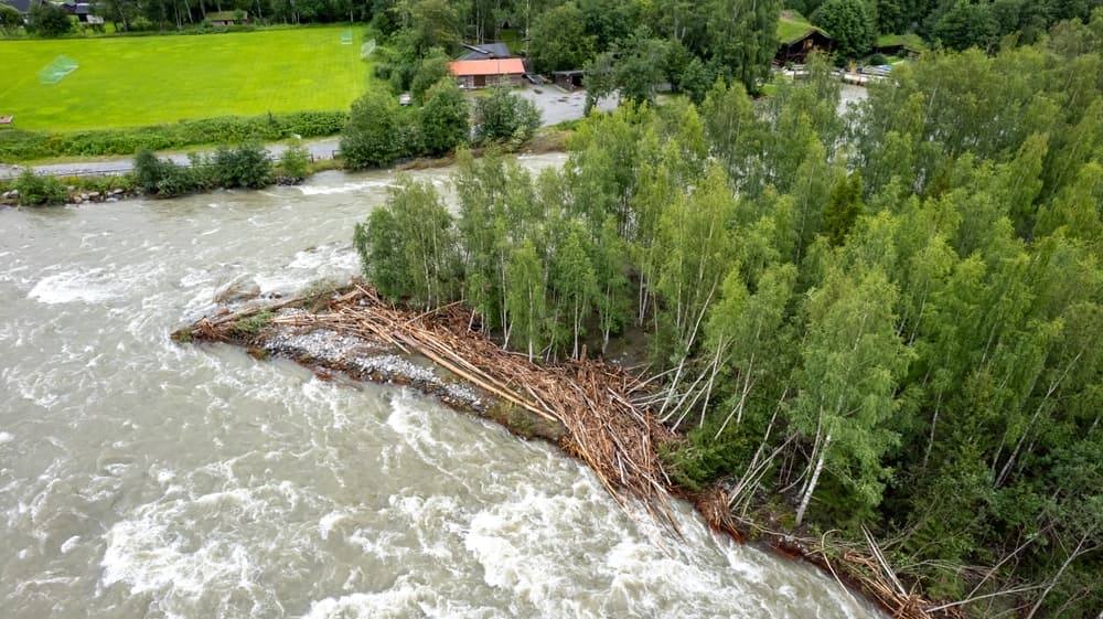 Forventede klimaendringer Forventede klimaendringer