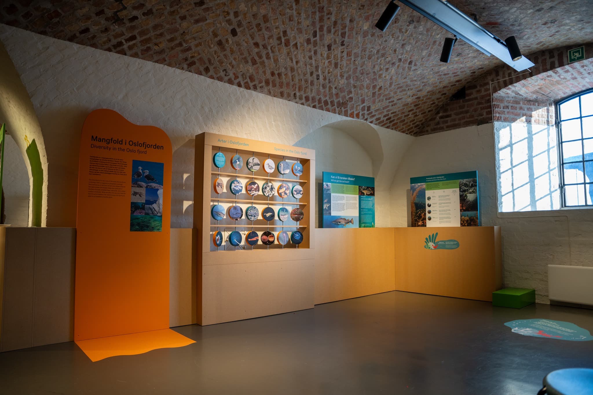 481991799_645692578407060_4135598513665781964_n